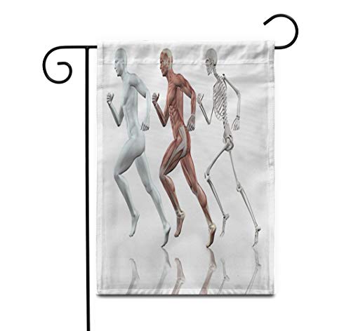 Awowee 28"x40" Garden Flag Run 3D Male Figure Running Skin Skeleton and Muscle Outdoor Home Decor Double Sided Yard Flags Banner for Patio Lawn