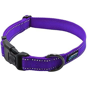 Max and Neo NEO Nylon Buckle Reflective Dog Collar - We Donate a Collar to a Dog Rescue for Every Collar Sold (Large, Purple)