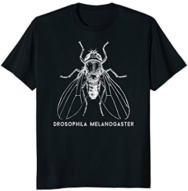 Science genetics Fruit Fly for biology major T-Shirt