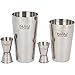 10-Piece Cocktail Shaker Set - Bar Tools - Stainless Steel Professional Bartender Kit, With All Bar Accessories, Cocktail Strainer, Double Jigger, Bar Spoon, Muddler, Bottle Opener.