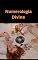 Livro Numerologia Divina