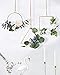 Dolicer Floral Hoop Wreath, Geometric Wire Round Triangle Square Hoop Frame of Artificial Rose Flower and Eucalyptus Vine Wreath for Wedding Backdrop Wall Decor Geometric Wire Wall Decor, Pack of 1