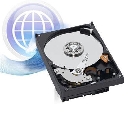 Western Digital WD5000AAKX 500GB SATA Hard Drives