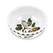 Portmeirion Pomona Individual Fruit Salad Bowl, set of 6, Multi