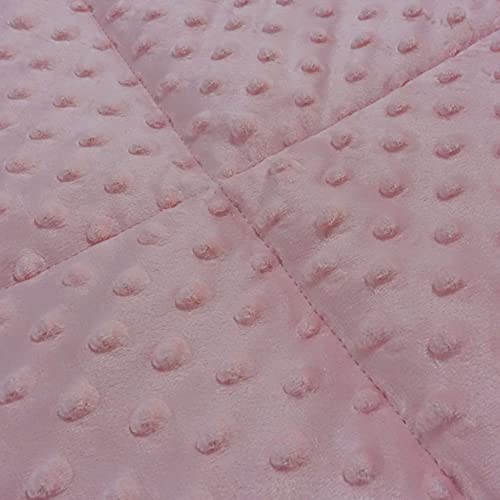 ALANSMA Reversible Weighted Blanket for All Season, Luxury Velvet, Warm