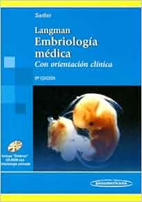 Langman Embriologia Medica Con Orientacion Clinica With