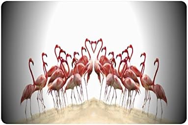 Novelty Design Custom Flamingo Doormat Entrance Mat Floor Mat Rug Indoor/Outdoor/Front Door/Bathroom Mats Rubber Non Slip Size 23.6 x 15.7 inches