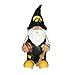 FOCO NCAA Iowa 2008 Team Gnome
