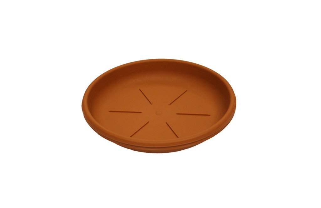 Thumbs Up Plant Pot Saucer 22-24cm Terracotta Saucer