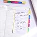 Lonnie Life Divider Sticky Notes,60 Index Tabs,Note Pads 4 x 6 Inch,Assorted Neon Colors Borders,Self-adhesive Sticky Notes,Translucent Frosted Cover