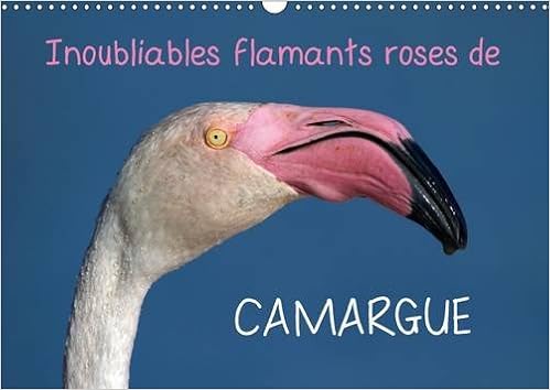 Inoubliables Flamants Roses De Camargue 2017 Les Flamants Roses Sont Des Oiseaux Magnifiques Et Majestueux Aux Couleurs Rares Ils Sont Ainsi Devenus De La Camargue Calvendo Animaux Amazon De Duvernay Elena