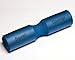 Squat Sponge Blue 18