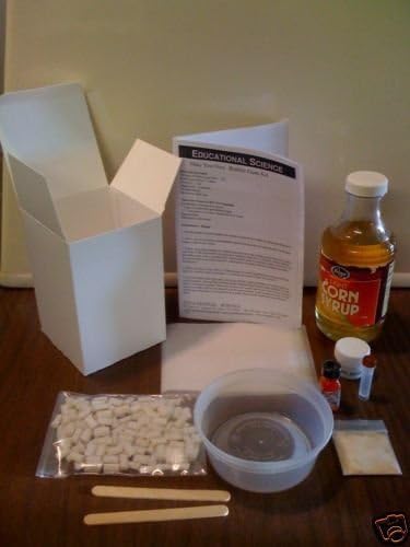 Educational Science Bubble Gum Making Kit BG101
