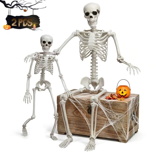 Life Size Halloween Skeleton Set