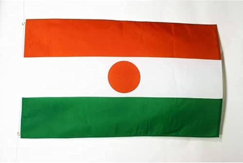AZ FLAG Niger Flag 3x5 ft 100D Polyester with 2 Metal Grommets Fade Resistant