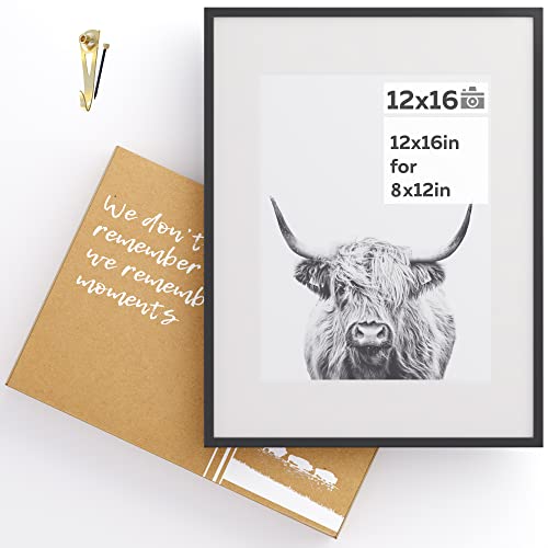 Homeforia 12x16 inch Metal Picture Frame 12 x 16 Aluminum Photo