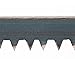 Agawa Canyon - BOREAL21 Tripper Kit - (21inch folding bow saw with all-purpose blade, canvas sheath, extra aggressive 