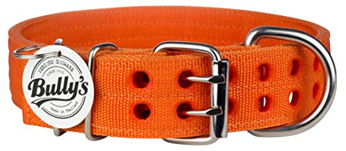 Pitbull Collar, Dog Collar for Large Dogs, Heavy Duty Nylon, Stainless Steel Hardware (Medium-1.5 Inches Wide, Orange Juice)