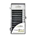 LASHVIEW Ellipse Flat False Eyelash Extensions Extremely Soft Application-friendly Lashes 0.15mm D Curl 11mm（Salon Use）