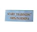 Large Soft 100% Pashmina Scarf Shawl Wrap (robin egg blue)
