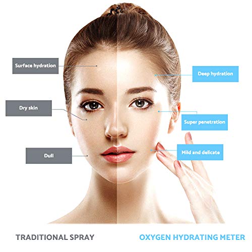 Water Oxygen Machine - Portable Micro-nano Moisturizing Oxygen Injection Sprayer,Moisturizing Cleaning Pores clear blackheads Acne Facial Care Sauna Spa Beauty Skin Rejuvenation Instrument