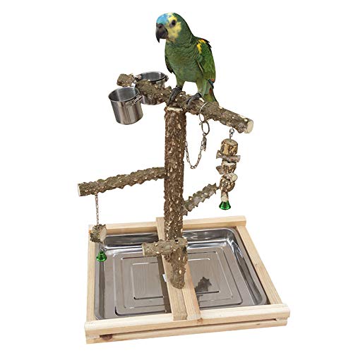 image for TOYPOPOR Parrot Playstand Bird Play Stand Cockatiel Playground Wood Pe