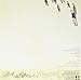 Castaways & Cutouts [Vinyl]
