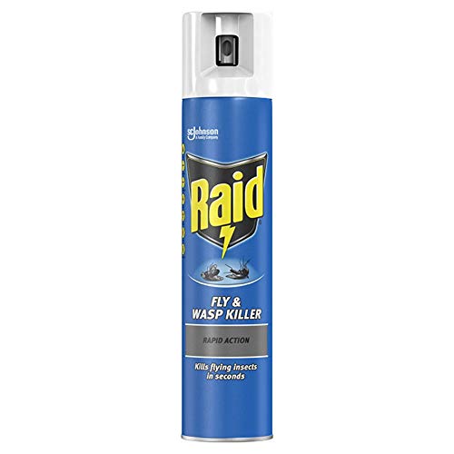 Raid Fly and Wasp Killer Aerosol Ref 95306