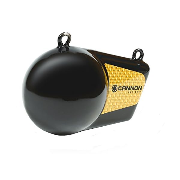 Cannon-Flash-Downrigger-Weights