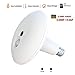 JUKEY Light Bulb Camera 1536P Camera PIR Body Sensing Motion Detection Night Vision 360 VR Panoramic Security Camera V2.0 Smart LED Flood Light, APP for Android iOS