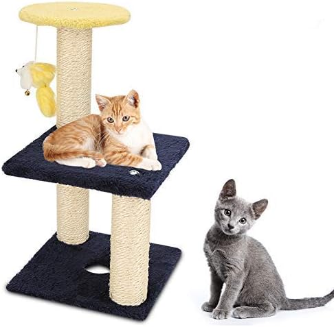 cat climbing tree amazon