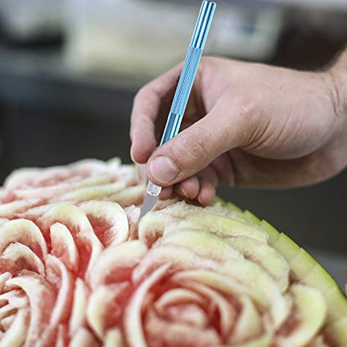 image for LOCOLO 6 Pieces Craft Knife Hobby Knife with 40 Pieces Stainless Steel