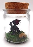 1 Inch Pet Dragon Black with Adoption Certifiate