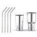 Beemoon steel straws (4 pcs)
