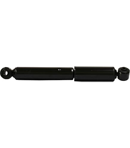 Amazon.com: Monroe Quick-Strut 172203 Suspension Strut and Coil