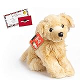 FAO SCHWARZ 20” Golden Retriever Puppy Dog Toy