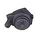 Cardone 58-125 Remanufactured Domestic Water Pump