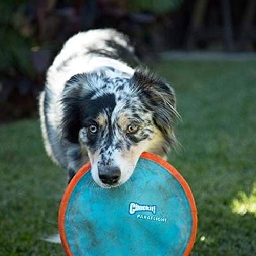 5 Chuckit+Paraflight+Frisbee+Distance+Orange