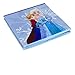 Frozen Else and Anna Collapsible Storage Bin by Disney - Cube Organizer for Closet, Kids Bedroom Box, Nursery Chest - Foldable Home Decor Basket Container with Strong Handles and Design