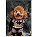 Alfie Pet - Superhero Costume Batman - Size: XS