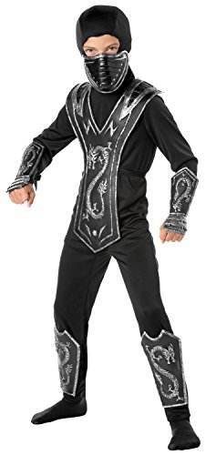 Seasons Dragon Master Ninja Costume, Medium (8-10)