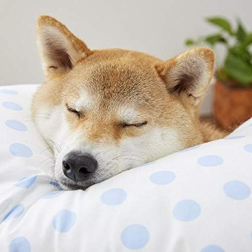 Amazon 王様のらくすや 中型犬用 Peppy ペピイ 枕 ブランケット 通販 Amazon 王様のらくすや 中型犬用 Peppy ペピイ 枕 ブランケット 通販