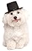 Rubie's Top Hat for Your Pet, Medium/Large Multicolor