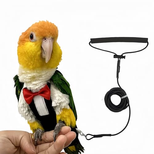 Magnoloran Bird Diaper Flight Suit