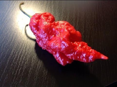 NEW for 2014-JAY'S RED GHOST SCORPION 15 Seeds – Super Super hot; Habanero Elongated Type; 2 by Seeds and Things