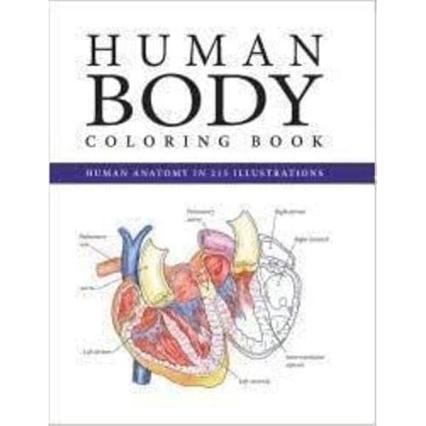 The Body Book: Florence Theriault: 9780912823874: Amazon.com
