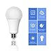 20W (150W - 200W Equivalent) A21 LED Light Bulb, 2400 Lumens 5000K Daylight White, E26 Medium Screw Base, Not-Dimmable, UL Listed, XMprimo - 3 Pack