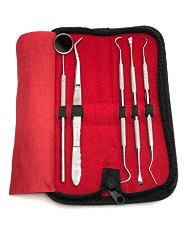 image for GENERIC Dental Tools, 5 Pack Teeth Cleaning Tools Stainless Steel Tart