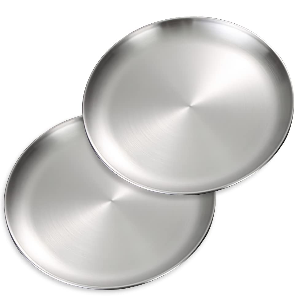 Betinyar 2 Pieces 10.2 Inch Stainless Steel Dinner Plates, Metal Dinner Dishes for Steak Salad, Stainless Steel Camping Outdoor Plate(Silver, 26cm)