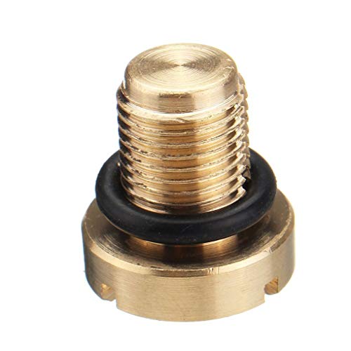 Jiasijieke Radiator Hose Bleed Vent Screws Plug Bleeding Compatible for BMW 3 Series E30 E36 E46 Mini 17111712788